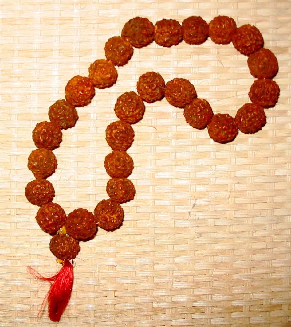 Five Mukhi Rudraksha